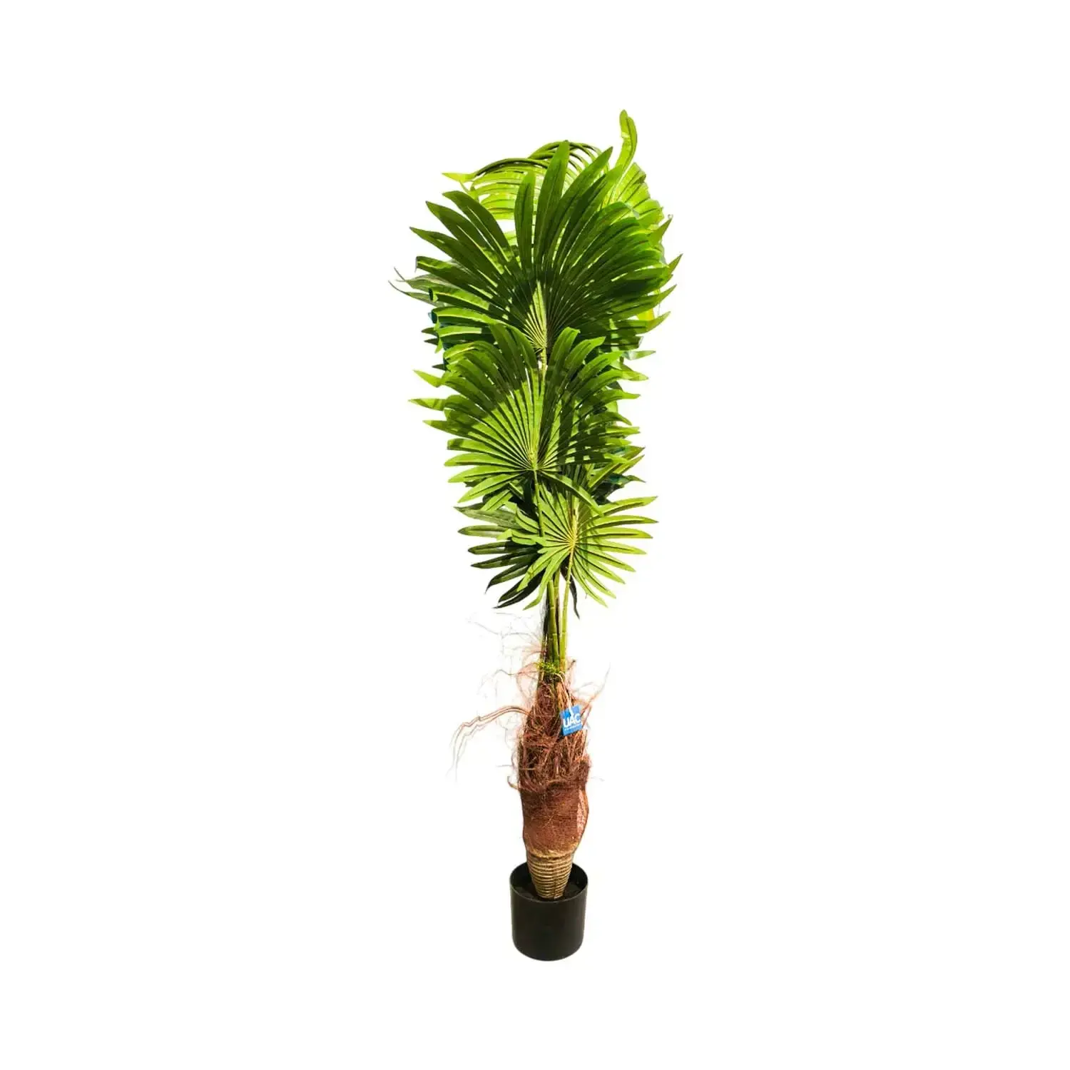 Plante artificielle palmier 160 cm - Décoration intérieure