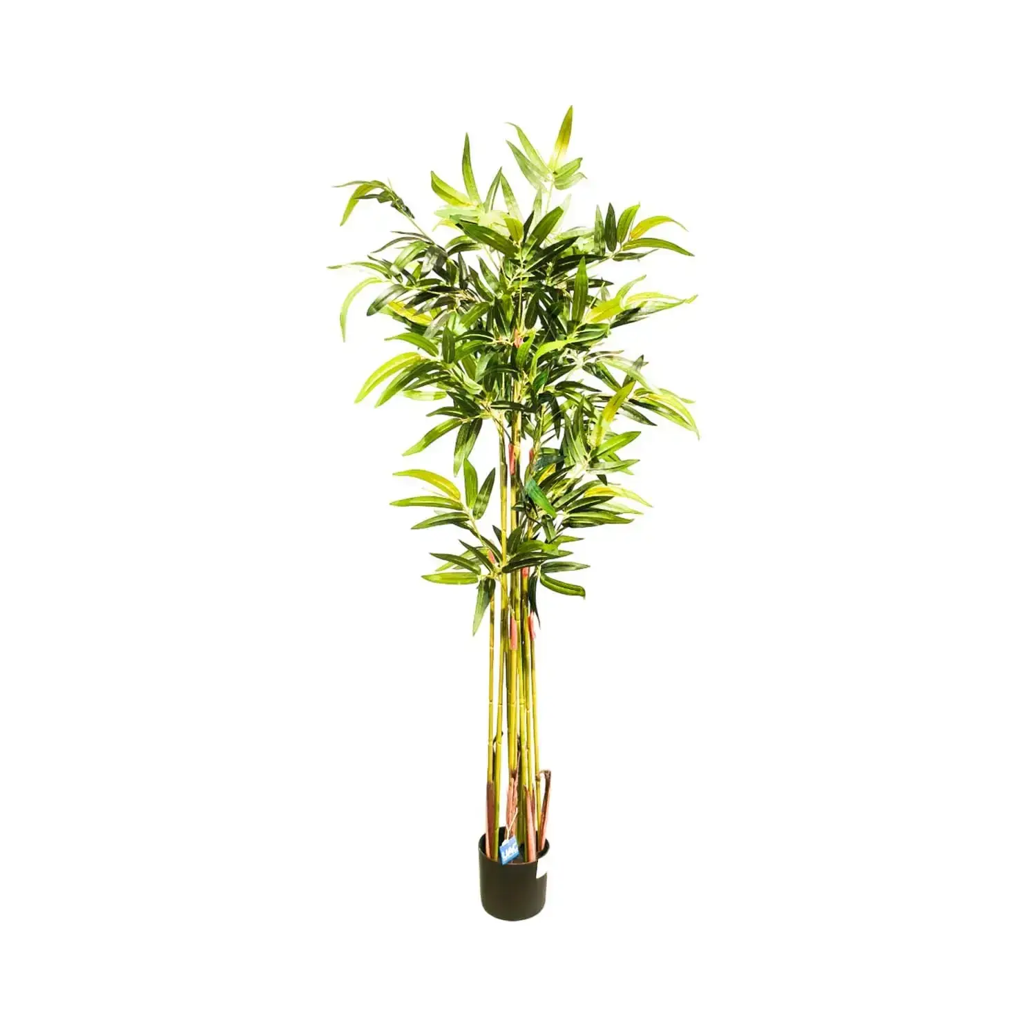 Plante artificielle bambou 160 cm - Décoration intérieure
